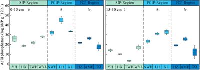 Soil Enzyme Activities and Their Relationships With Soil C, N, and P in Peatlands From Different Types of Permafrost Regions, Northeast China